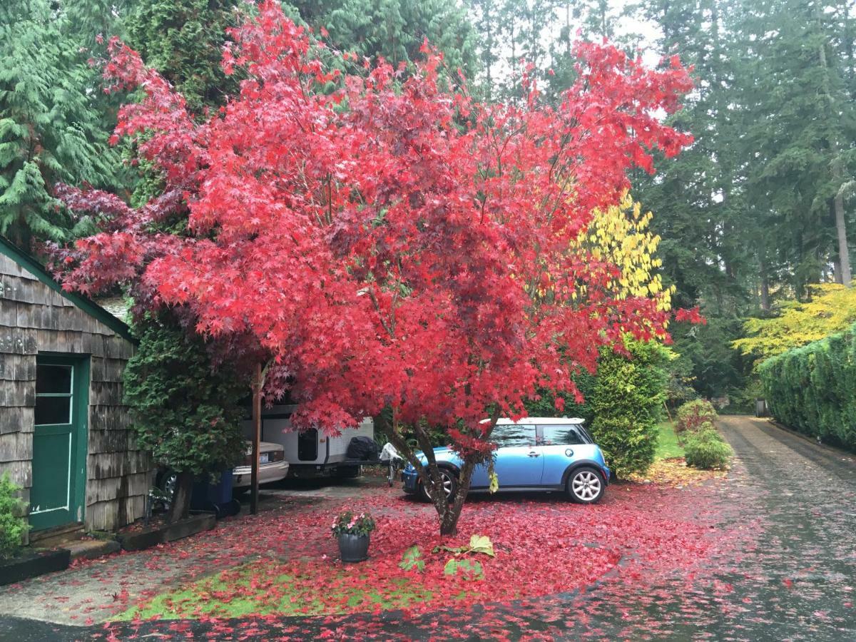 Cottage Lake Bed And Breakfast Woodinville Exterior photo